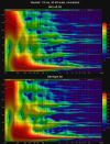 13 wavelet spectrogram 100 Hz - 20 kHz.png