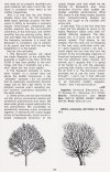 Kenwood Scan 3.jpeg
