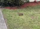 IMG_2320.jpeg