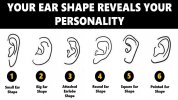 what-does-the-shape-of-your-ears-say-about-you-compressed.jpg