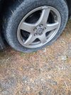 IMG_20241013_130203.jpg