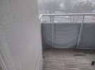 IMG_20250211_091425.jpg