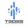 Tedes Audio Pro